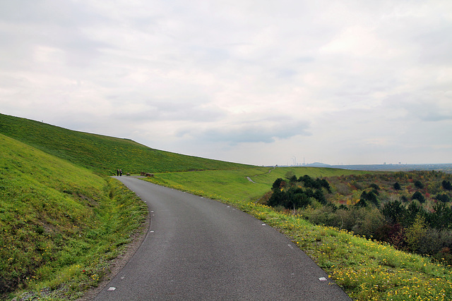 Weg unterhalb des Haldenplateaus (Halde Hoheward, Herten) / 17.10.2020