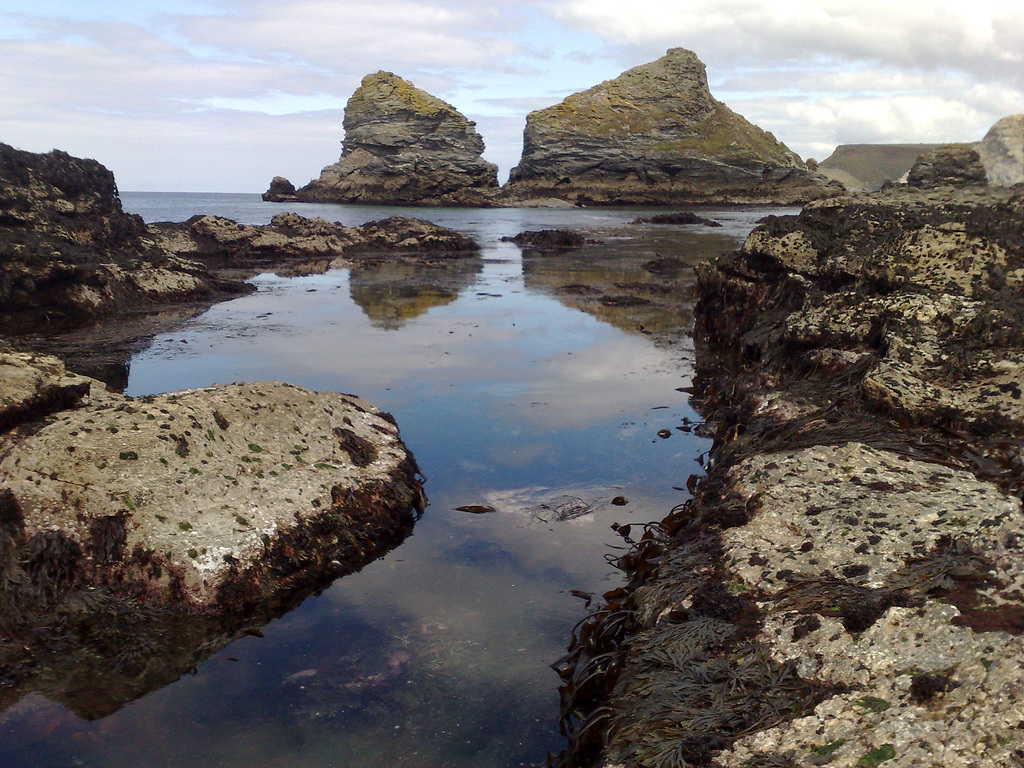 Greenbank Cove to Crane Islands