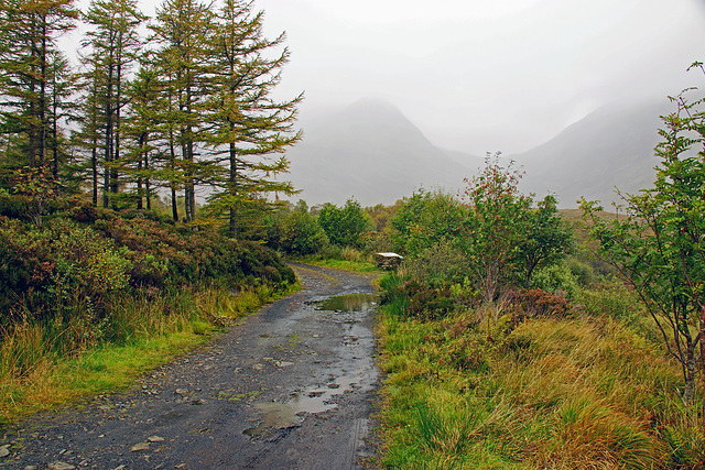 The Misty Isle