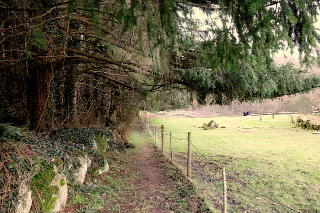 PARC DES PARELLES CREVANT