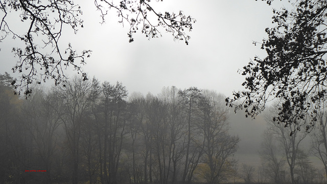 Morgens nebelverhangen in Eisenach