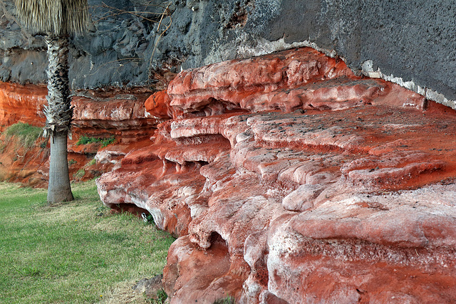 Câmara de Lobos - Lava und rotes Tuff an der Uferpromenade (1)