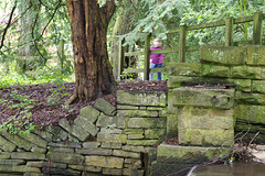 At the top weir