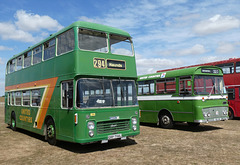 'BUSES Festival' at Sywell Aerodrome - 7 Aug 2022 (P1120933)