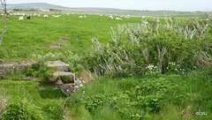 Flow controls on the millstream