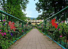 on the bridge