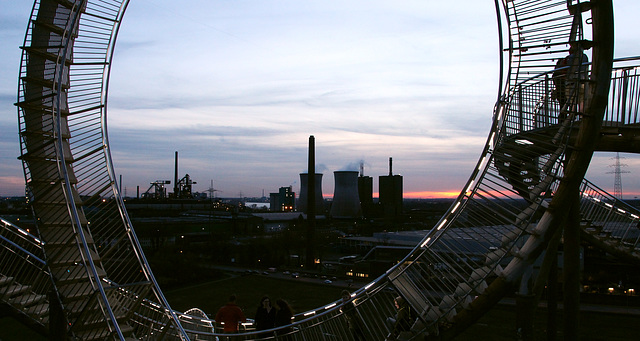 Tiger & Turtle