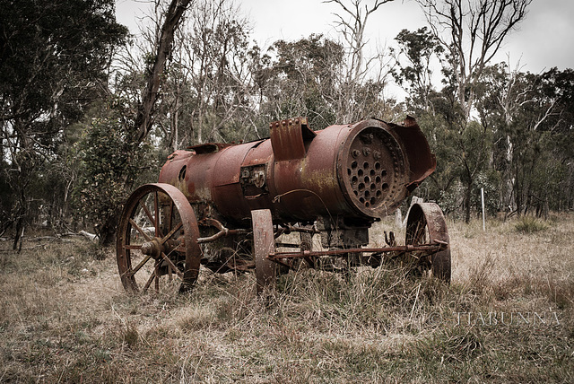 Out to pasture