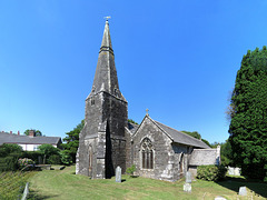 st ewe's church, cornwall (53)