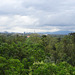 View Over Bosque De Chapultepec