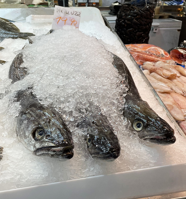 Mercat de L'Olivar 1