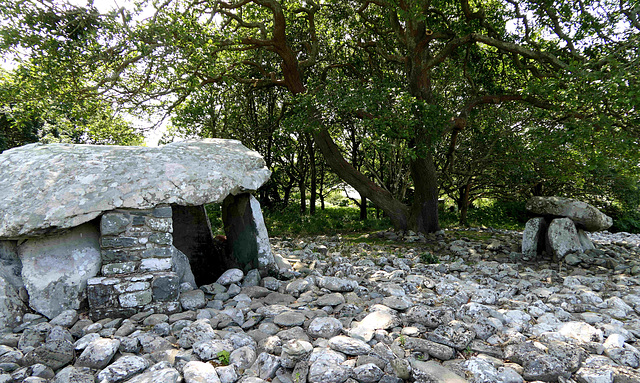 Dyffryn Ardudwy Burial Chamber