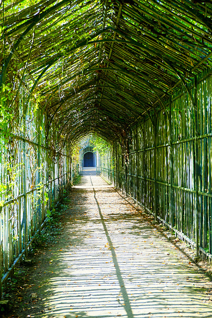 Arbor 2, Marie-Antoinette's Estate