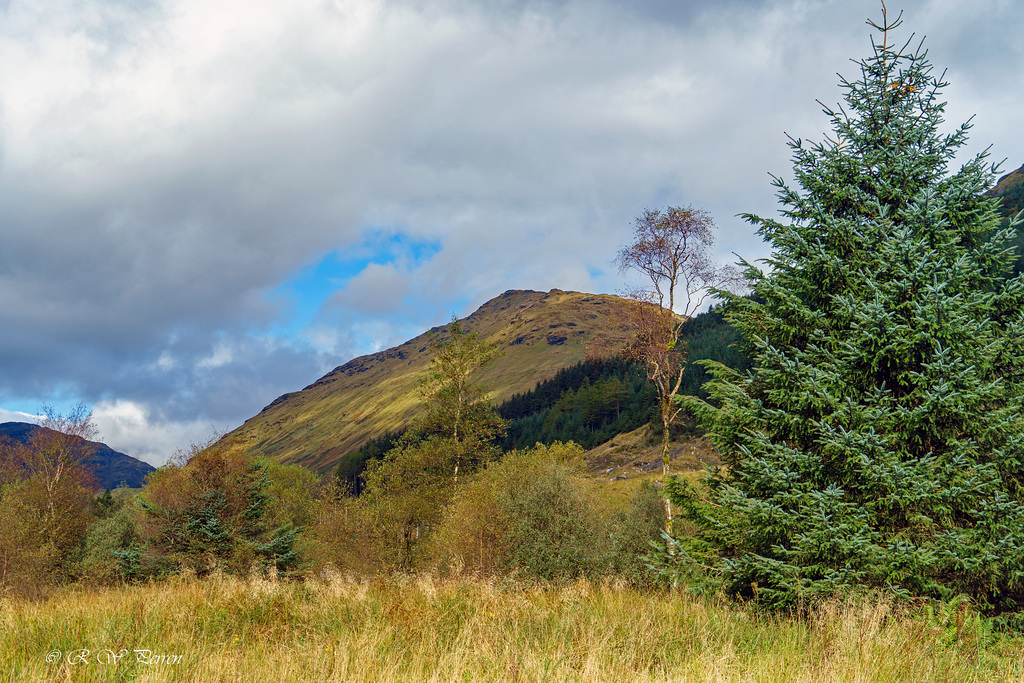 Arrochar Alps