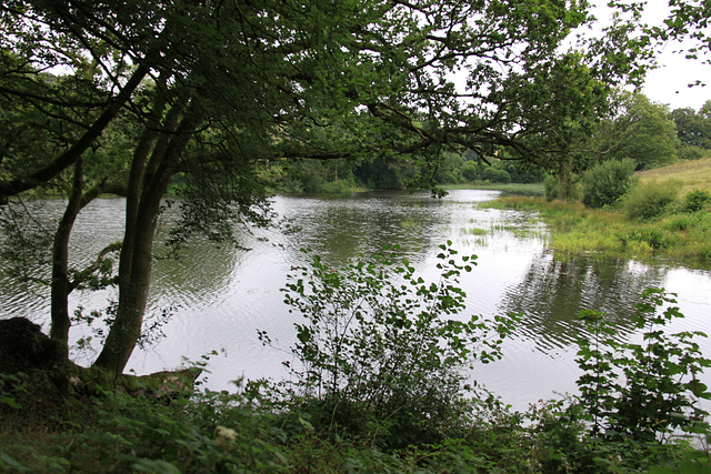 Ornamental Lake