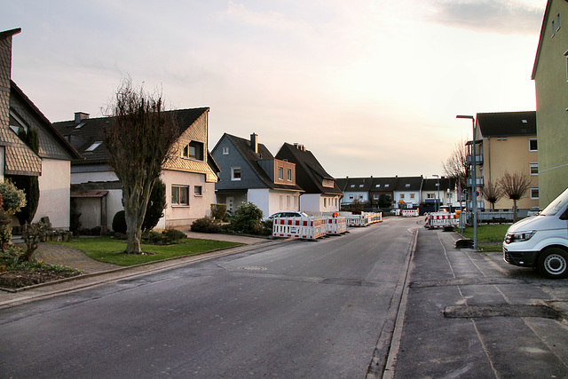 Zum Kellerbach (Schwerte-Geisecke) / 9.03.2024