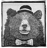 Everyone loves a bear in a hat and bow-tie!