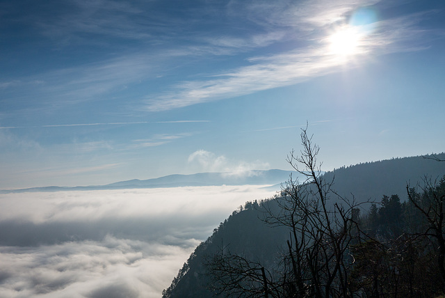 Über dem Nebel