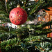 weihnachtsbaum-1220195-co-24-12-15