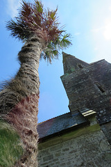 st ewe's church, cornwall (1)