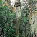 nunhead cemetery, london, c20 tomb of sarah bond +1922 (1)