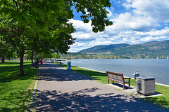 Die Bank am Okanagan Lake