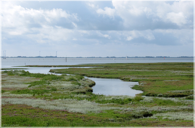 Togoschloot bei Flut (Spiekeroog)