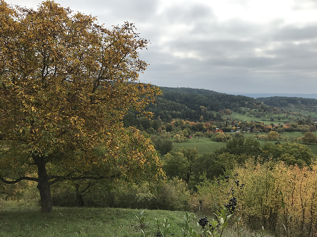 Herbstfarben