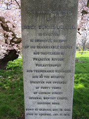 paddington cemetery, brondesbury, london