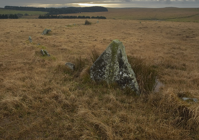 Fernacre stone circle, Bodmin Moor