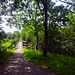 Bridge over Gruggies Burn