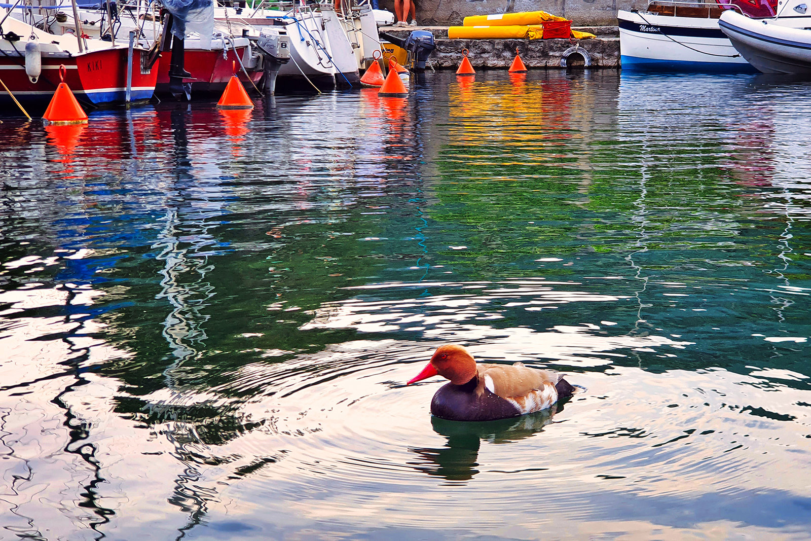 Torbole Harbour