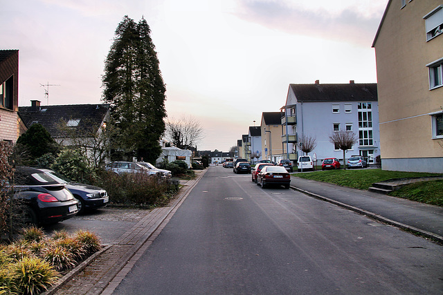 Zum Kellerbach (Schwerte-Geisecke) / 9.03.2024