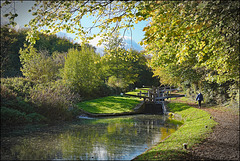 A flight of locks,. and towpath,. Chesterfield canal..