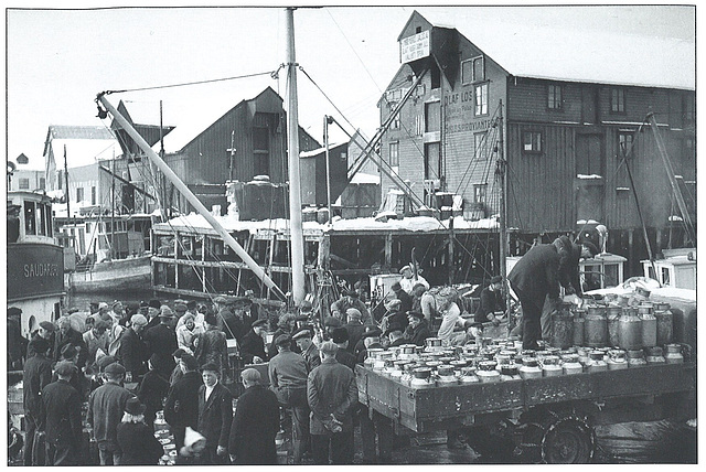 Saudafjord i Tromsø