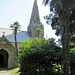 st ewe's church, cornwall (3)