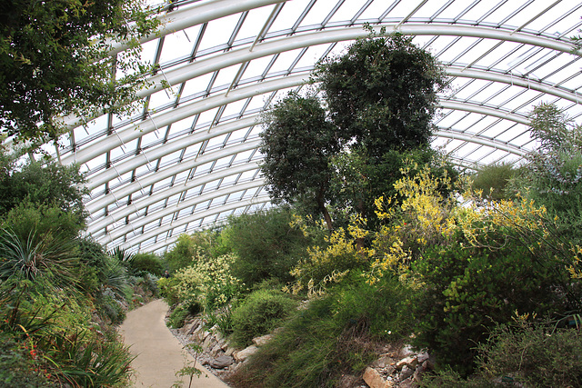 The Glasshouse