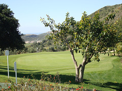 Los Arqueros Golf Resort