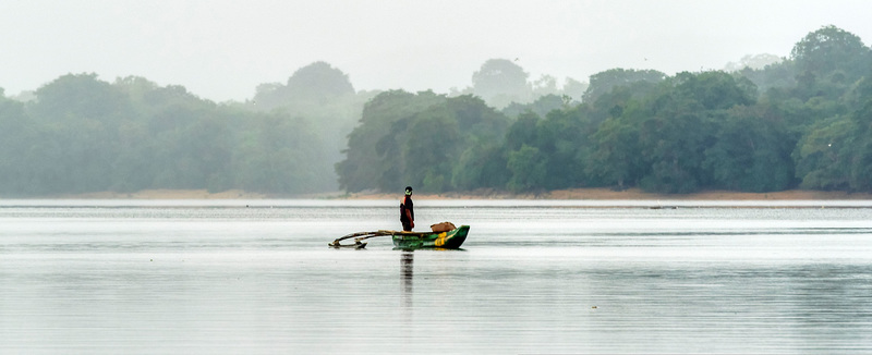 Sri Lanka tour - the fifth day, Minneriya National Park