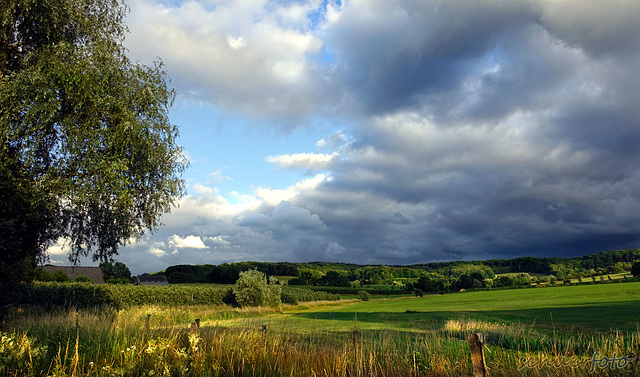 Limburgische Landschaft, Niederlande