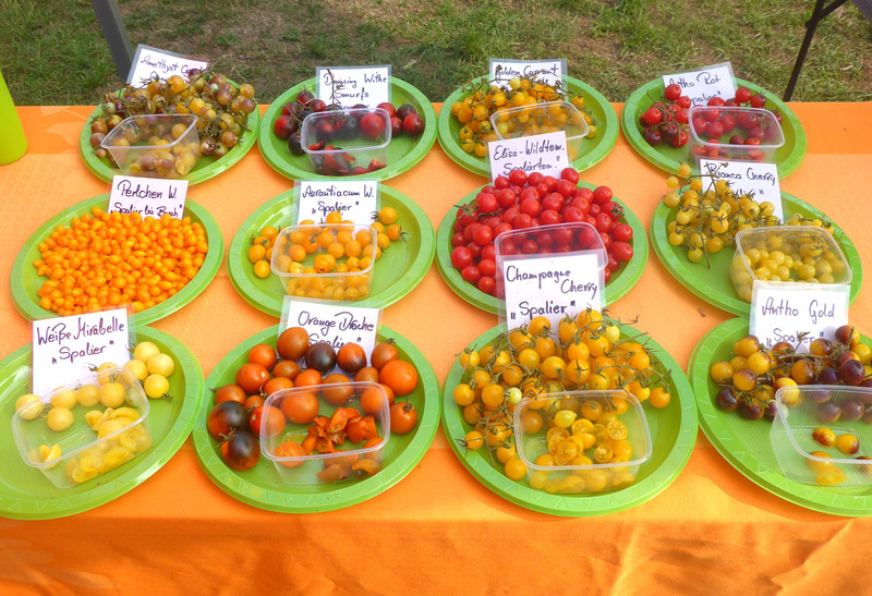 Tomatenverkostung 2018 - Birgit Kempe - Altjessen