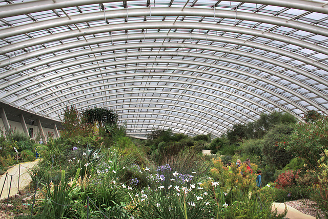 The Glasshouse