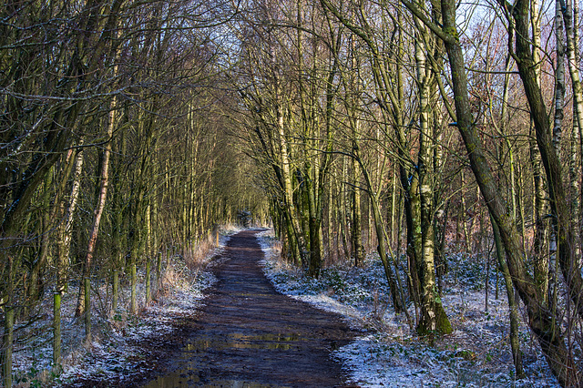 Longdendale Trail