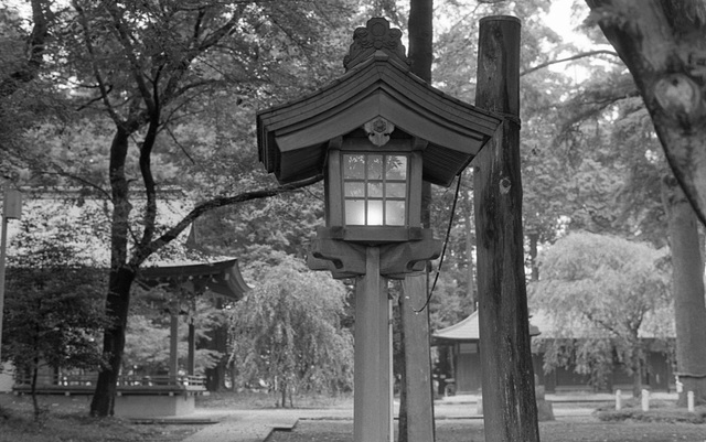 Lantern is on in the shade