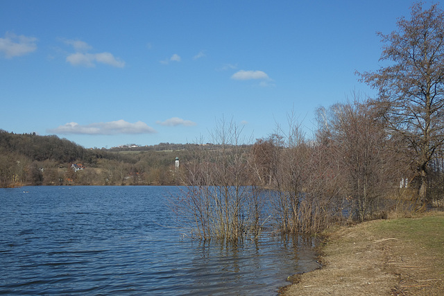 Am Saltendorfer Weiher