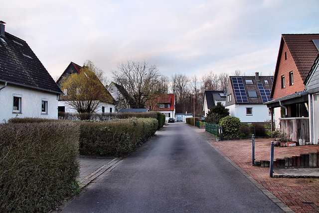 Zum Kellerbach (Schwerte-Geisecke) / 9.03.2024