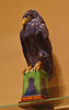 blackbird finial , 1937, gilbert bayes
