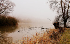 Au bord de l'etang