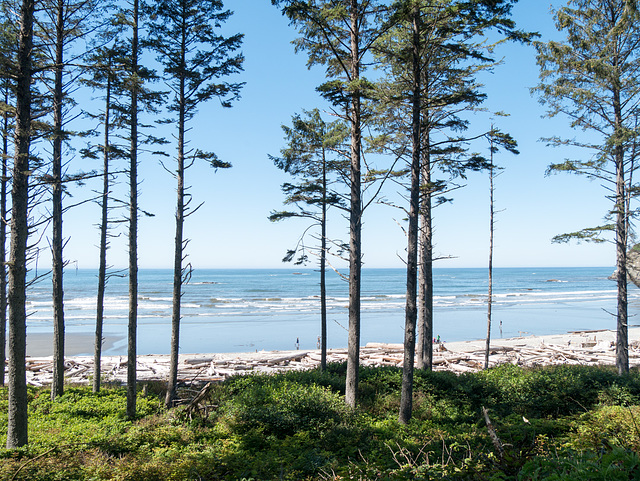 La Push