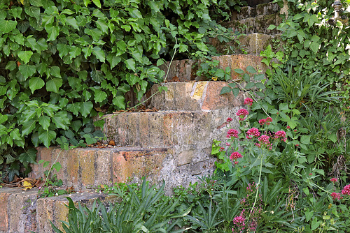 Kartause Ittingen - Geheime Treppe zum Kräutergarten